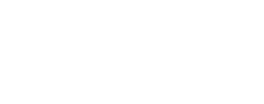 AUDEMO